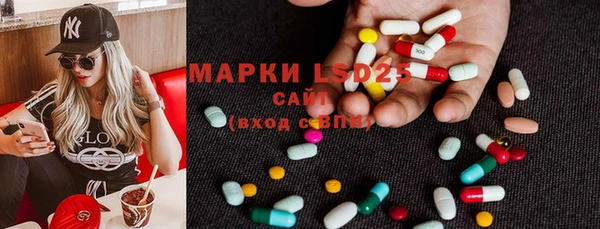 ГАЛЛЮЦИНОГЕННЫЕ ГРИБЫ Балабаново