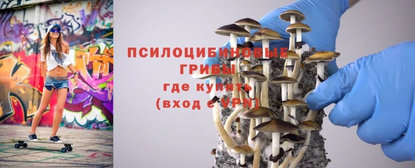 ГАЛЛЮЦИНОГЕННЫЕ ГРИБЫ Балабаново