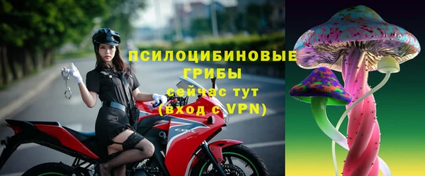 прущая мука Арсеньев