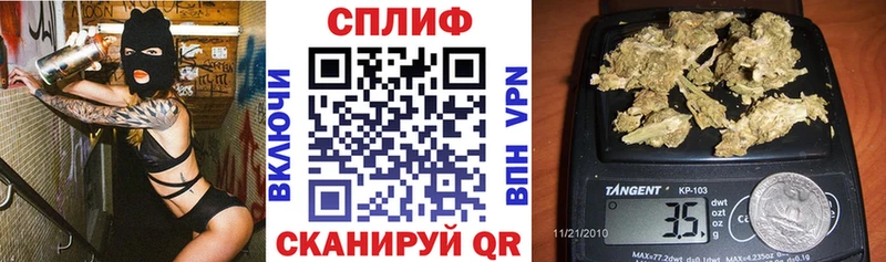 mega tor Нефтекумск Каннабис VHQ